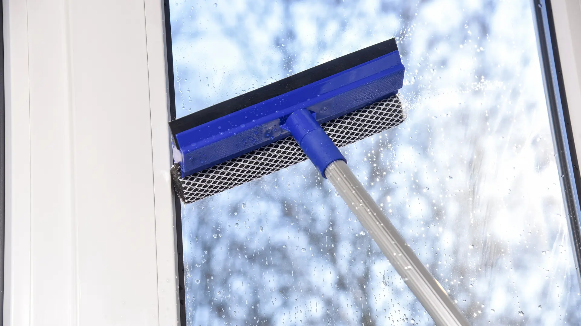 Window Cleaning Service - ProShine